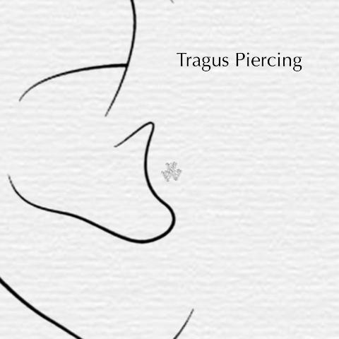 INAGIO Luxury silver piercing jewellery Ear Styling tragus piercing